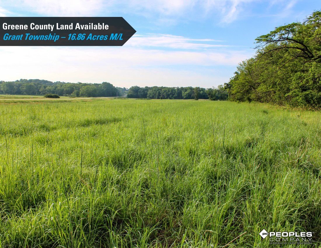 Listing Photo: Greene-County-Iowa-Recreational-Land-Available-17-Acres-19560 (14)